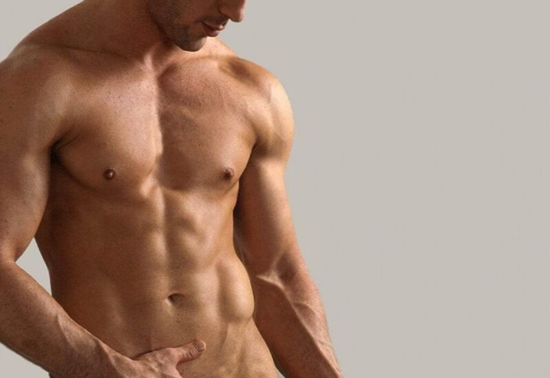 Mees -torso