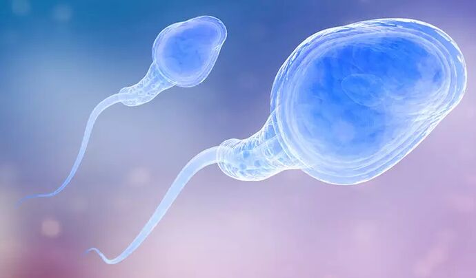 Mehe eelejakulaadis võivad esineda spermatosoidid